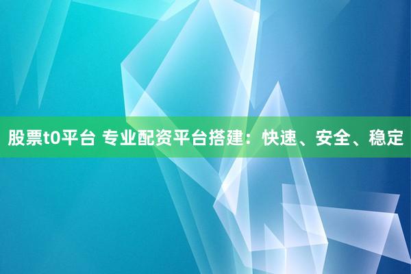 股票t0平台 专业配资平台搭建：快速、安全、稳定