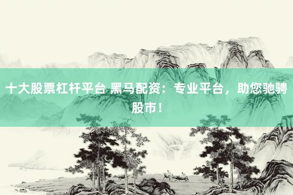 十大股票杠杆平台 黑马配资：专业平台，助您驰骋股市！