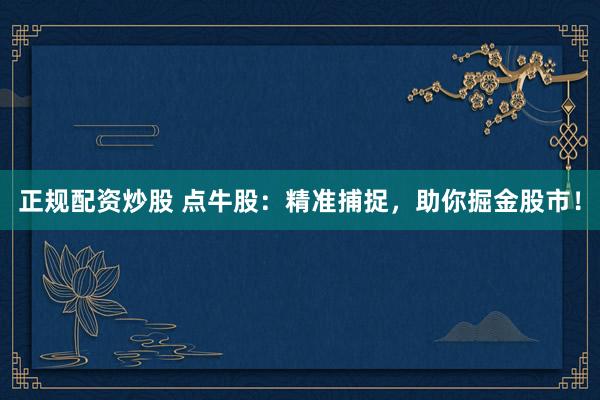 正规配资炒股 点牛股：精准捕捉，助你掘金股市！