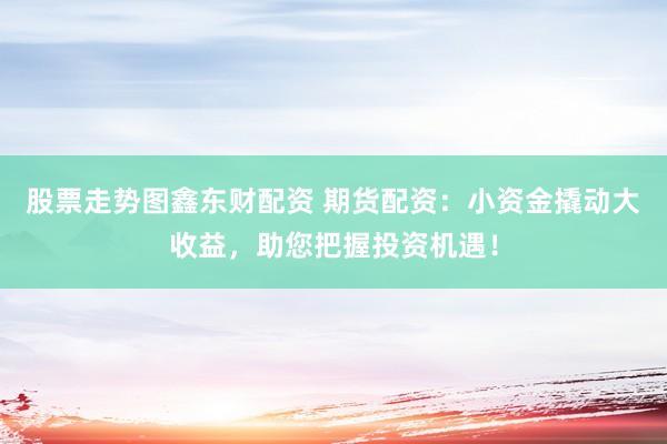 股票走势图鑫东财配资 期货配资：小资金撬动大收益，助您把握投资机遇！