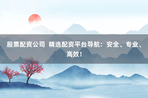 股票配资公司  精选配资平台导航：安全、专业、高效！