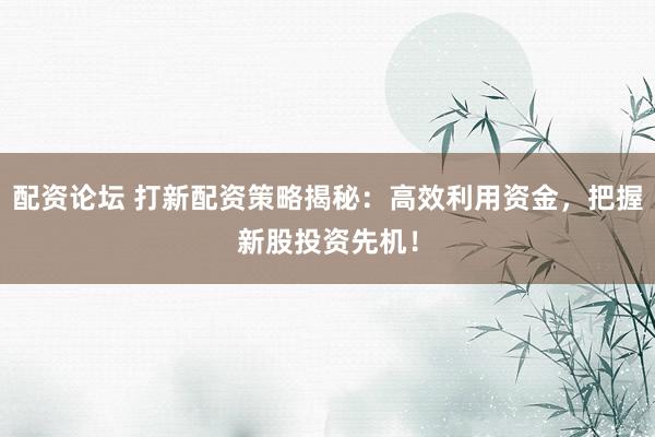 配资论坛 打新配资策略揭秘：高效利用资金，把握新股投资先机！