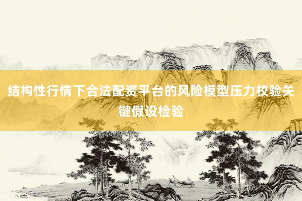 结构性行情下合法配资平台的风险模型压力校验关键假设检验