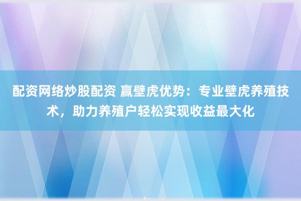 配资网络炒股配资 赢壁虎优势：专业壁虎养殖技术，助力养殖户轻松实现收益最大化